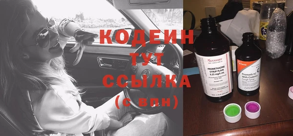 эйфоретик Алзамай
