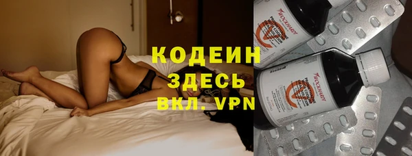 эйфоретик Алзамай