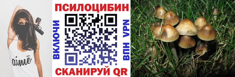Галлюциногенные грибы Cubensis  Изобильный 